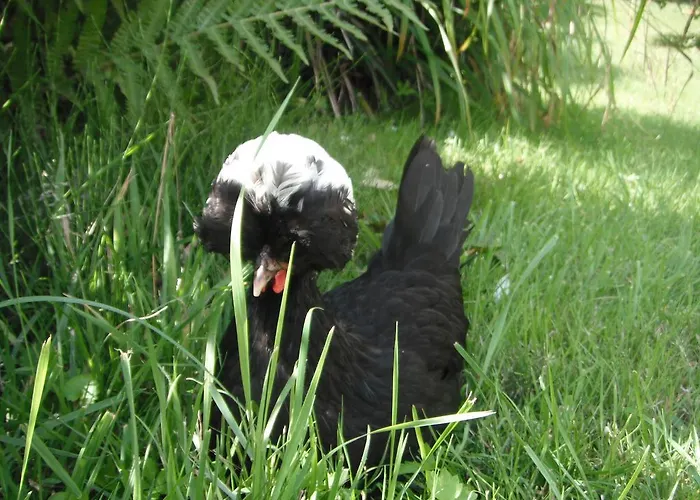 Bed & Breakfast Le Brame - D'hotes Avilly-Saint-Leonard