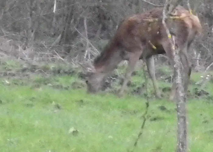 Le Brame - D'hotes 3*